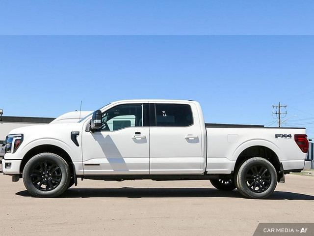 2025 Ford F-150 Platinum in Cars & Trucks in Edmonton - Image 3