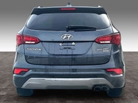 . . . . 2.0 L 4 Cyl Engine Vehicle Options: Leather Interior, Panoramic Roof, Apple Or Android Auto,... (image 3)
