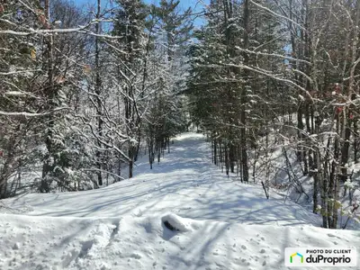 Un superbe terrain de 1.71 acre (6,908.30 m2) avec arbres feuillus et conifères matures. Entrée/sort...