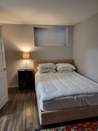 Cozy Basement Suite in 66 Avenue