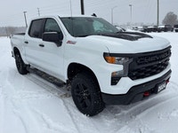 Trail Boss, Low Km's, 5.3L, Dark Essentials Pkg, Black Assist Steps, Tow Pkg W/Trailer Brake Control... (image 6)