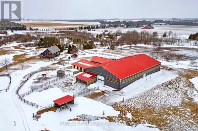 73.5 acre horse farm offering a rare blend of equestrian infrastructure, privacy, and natural beauty...