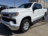 AMVIC Licensed Dealer Keen on a hearty vehicle that's ready to tackle both daily chores and adventur... (image 2)