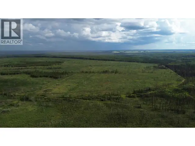 1111 BIRLEY ROAD Buick Creek, British Columbia in Land for Sale in Fort St. John - Image 24