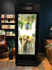 Flower Display Cooler / Merchandiser , Floral Fridge (USED)