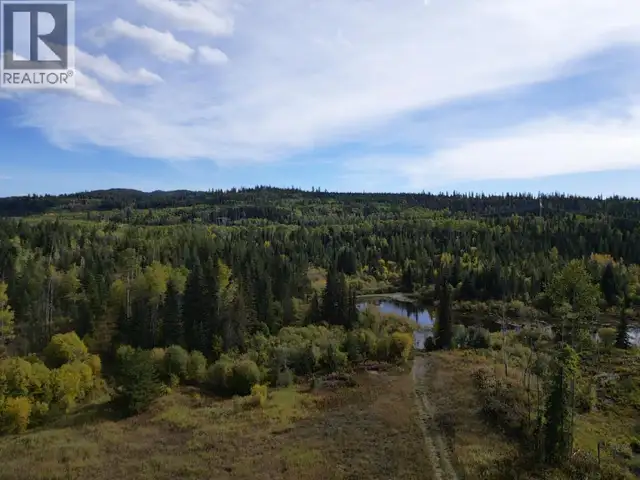 DL 2035 HIGHWAY 16 Fraser Lake, British Columbia in Land for Sale in Burns Lake - Image 7