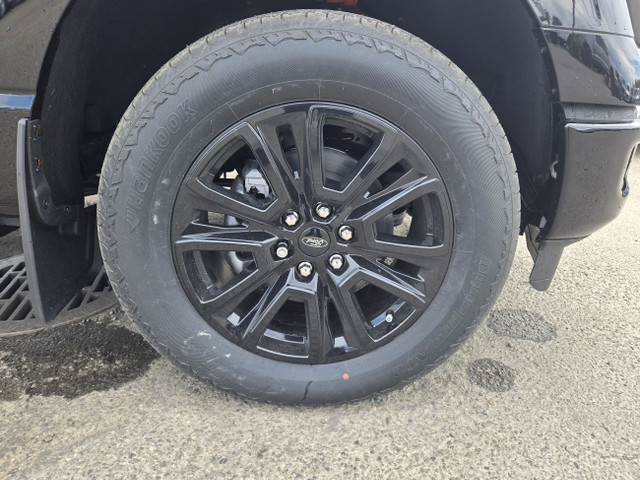 2025 Ford F-150 PLATINUM | FX4 PKG | 360 CAMERA | REVERSE SENSIN in Cars & Trucks in Calgary - Image 4
