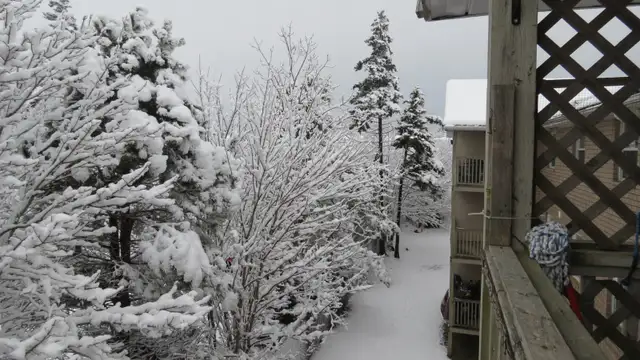 Clayton Park in Long Term Rentals in City of Halifax - Image 14