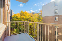 SUPERBE APPARTEMENT 5 1/2 À LOUER PROCHE DE TOUS LES SERVICES- Découvrez la Place Northcrest, un imm... (image 6)