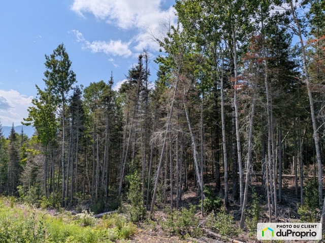 $48,000 - Wood Lot for sale in Gaspe — photo 1