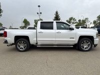 AMVIC Licensed Dealer Fancy a rugged companion that can handle both your work needs and adventure tr... (image 8)