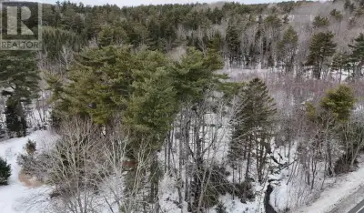Exciting Opportunity to Own Prime Vacant Land in Cookville, Lunenburg County! This 2.82-acre propert...