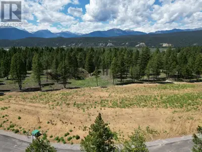Welcome to Elk Park Ranch! The homesteads are estate lots offering no building commitment making the...