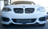 Sto N Sho Removable Plate Bracket - 2015-18 BMW M235i
