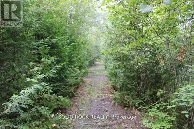 2209 JOCHEM ROAD Edwardsburgh/Cardinal, Ontario in Land for Sale in Woodstock - Image 3