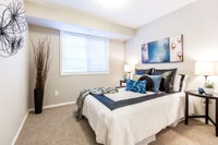Broadstreet's South Pointe Terrace offers 1, 2, and 3 bedroom pet friendly apartments for rent in th... (image 8)
