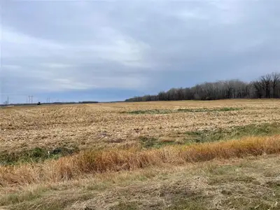 R39//St Claude/Full Quarter of land,+/- 30 acres cultivated, +/- 130 acres bush. Located I the RM of...