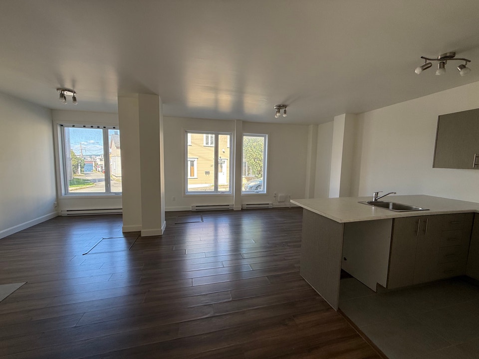 Superbe grand loft air ouvert grandeur 3 1/2, Lévis Libre 2