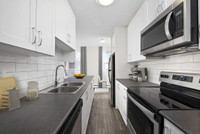 1 Bedroom Apartment for Rent - 500 Glenelm Crescent Kitchener / Waterloo Kitchener Area Preview