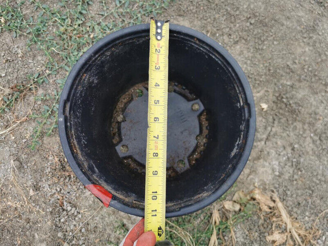 11.50 Litres 3.04 gallons  grow pots for Sale $1.00 Each in Plants, Fertilizer & Soil in Trenton
