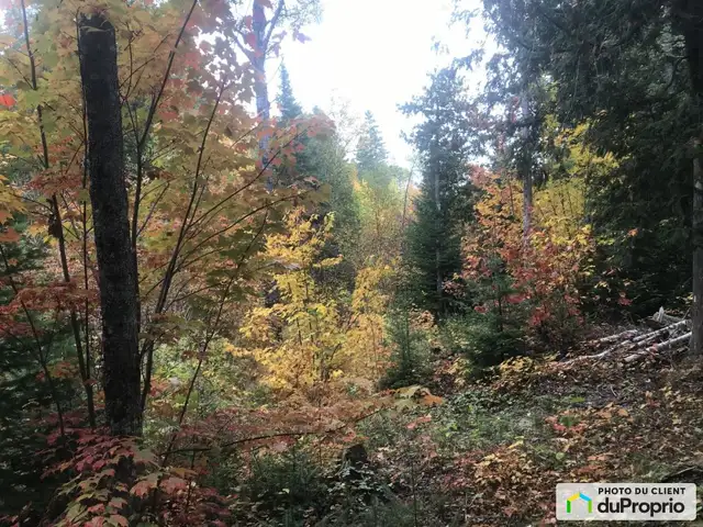 $89,000 - Residential Lot in Rimouski (Ste-Odile-Sur-Rimouski) in Land for Sale in Rimouski / Bas-St-Laurent - Image 3