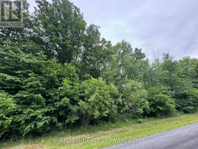 CON 8 BINGLEY ROAD South Stormont, Ontario in Land for Sale in Cornwall - Image 5