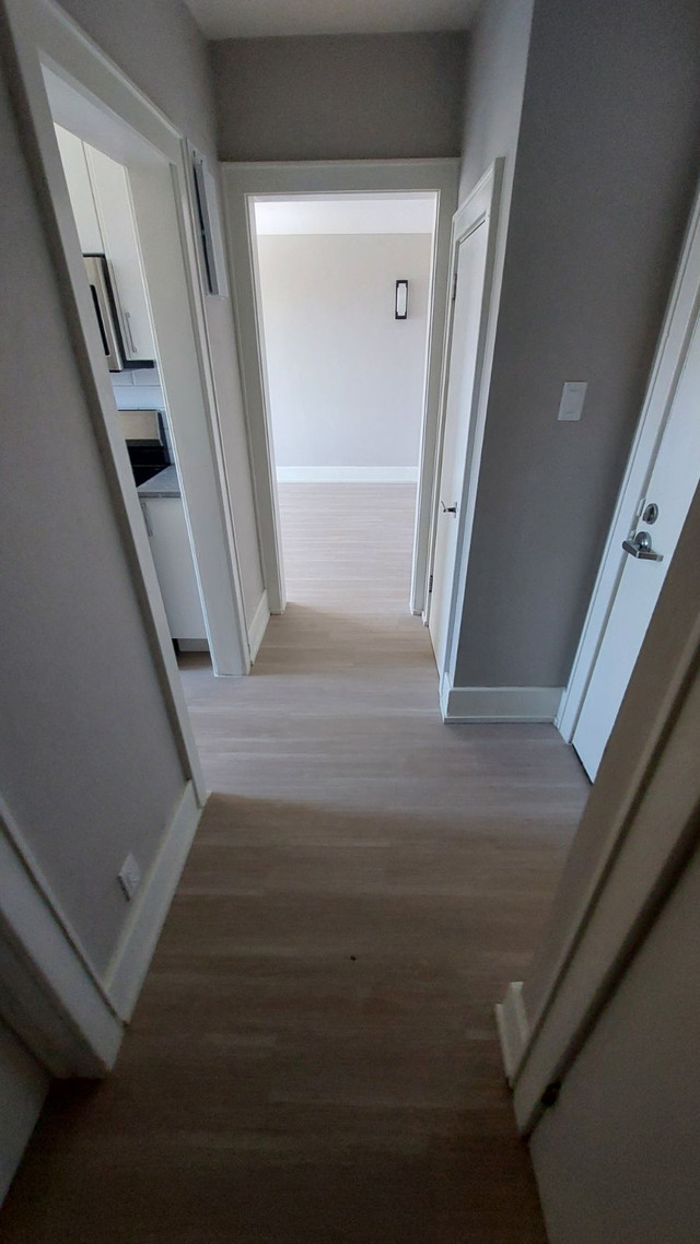 Newly renovated 1 bedroom Apartment. in Long Term Rentals in Sudbury - Image 3