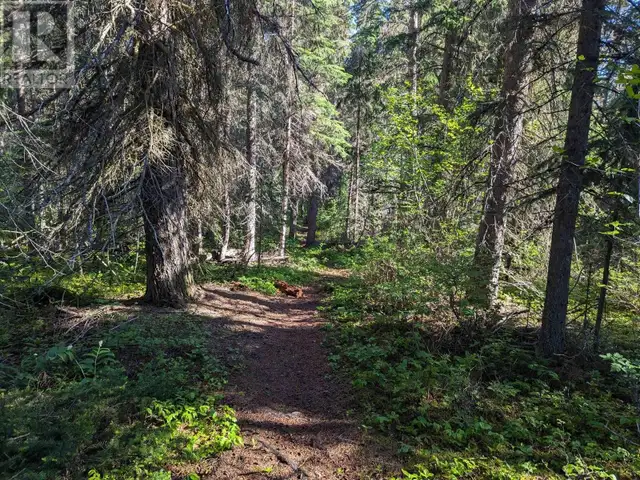 LOT A HUDSON BAY MOUNTAIN ROAD Smithers, British Columbia in Land for Sale in Smithers - Image 8