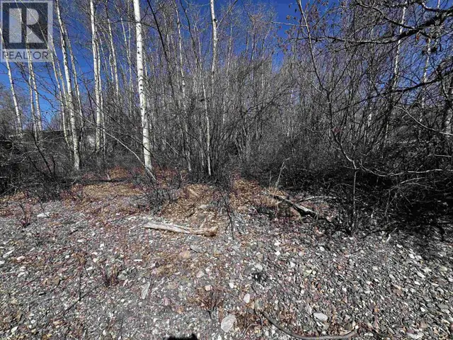 LOT 20 FRANCOIS LAKE ROAD Fraser Lake, British Columbia in Land for Sale in Burns Lake - Image 12