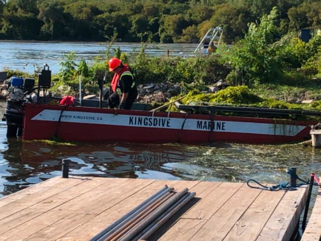 Aquatic Weed Removal/Harvesting in Other in Kingston - Image 4