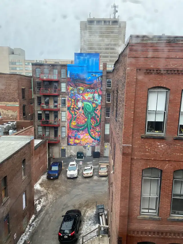 99 Germain Suite 302 in Long Term Rentals in Saint John - Image 11