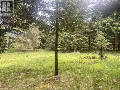 Homestead opportunity on a well shaped, gently sloping 9.20 acres in the midst of neighbors drawn by...