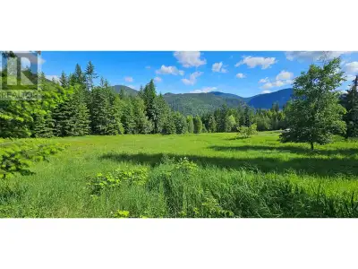 Embrace nature with this stunning 3.92-acre property just 17 minutes from Nelson! Surrounded by brea...