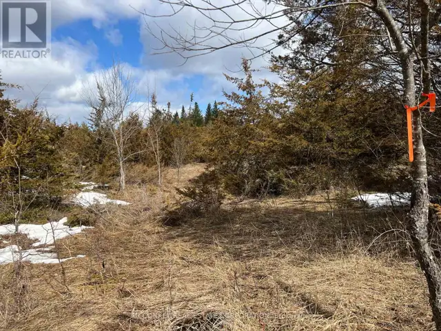 00 N. DUMMER 7TH LINE ROAD Douro-Dummer, Ontario in Land for Sale in Peterborough - Image 12