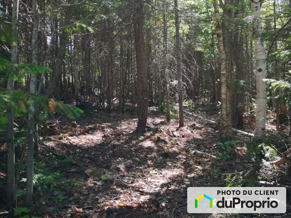 $45,000 - Residential Lot for sale in Petite-Riviere-St-Francois — photo 1