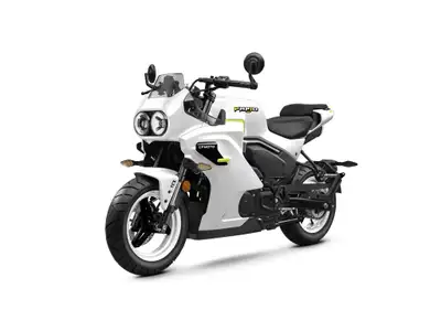 2026 CFMOTO PAPIO 125 SS ...