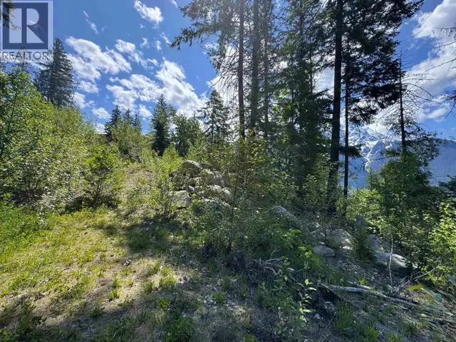 7505 PEBBLE CREEK DRIVE Pemberton, British Columbia in Land for Sale in Whistler - Image 11