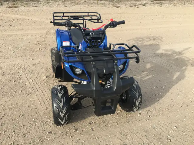 2025 BRAND NEW GIO BLAZER 125 ATV / QUAD / in ATVs in Brandon - Image 7