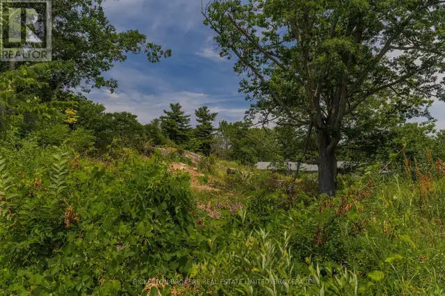 790 KING STREET W Gananoque, Ontario in Land for Sale in Kingston - Image 15