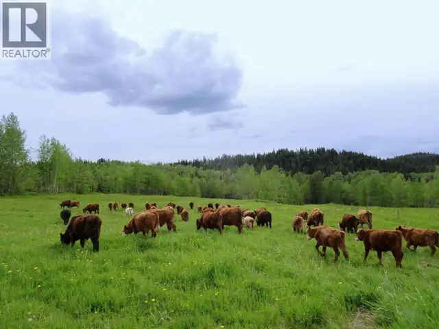 DL5277 DAY ROAD Horsefly, British Columbia in Land for Sale in Williams Lake - Image 16