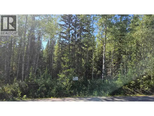 LOT 2 E MEIER ROAD Cluculz Lake, British Columbia in Land for Sale in Vanderhoof - Image 5