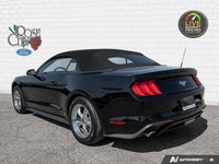 Rose City Ford | Accident Free | Convertible | 10-Speed Transmission | Engine Block Heated | Back Up... (image 3)