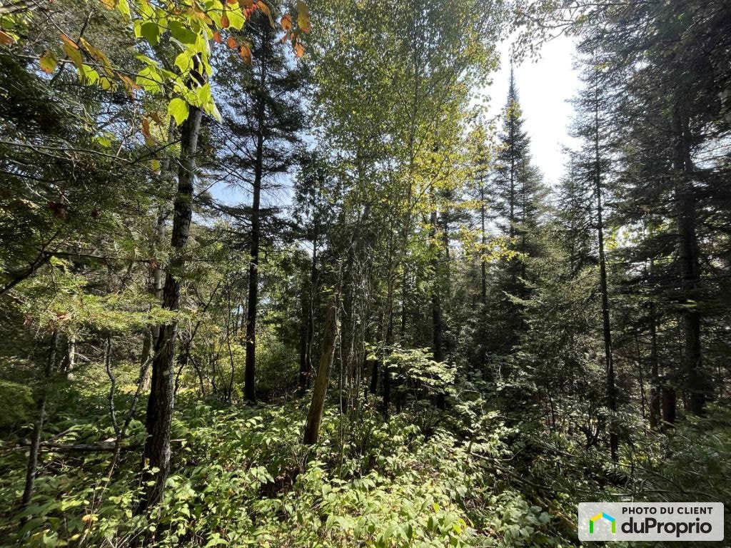 $229,999 - Residential Lot for sale in La Malbaie — photo 3