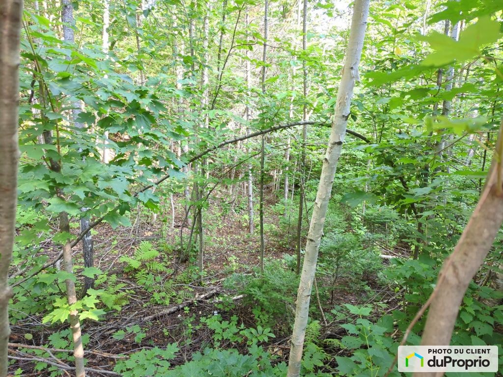 $50,000 - Residential Lot for sale in St-Didace — photo 3