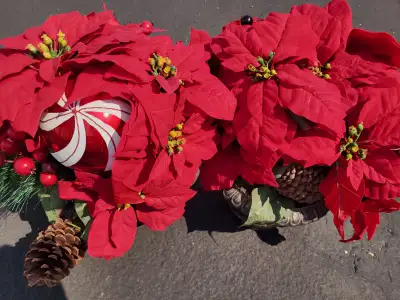 MICHAELS HANDCRAFTED RED TABLE TOP POINSETTA ARRANGEMENTS, View more
