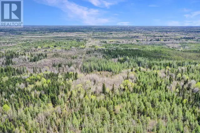 FAUQUIER-STRICKLAND - 319 HIGHWAY 11 Kapuskasing, Ontario in Land for Sale in Kapuskasing - Image 12