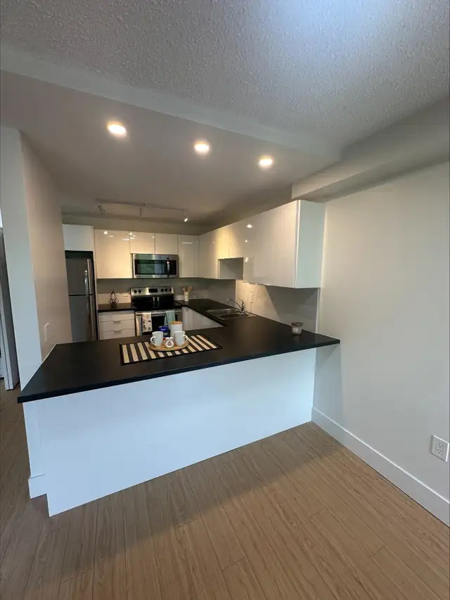 1 Bedroom - 700 Forest Hill Rd. - Newly Renovated in Long Term Rentals in Fredericton - Image 4