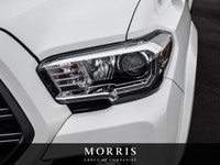 Welcome to Maserati Alfa Romeo of Winnipeg, home to one of the largest used car inventories in the c... (image 5)