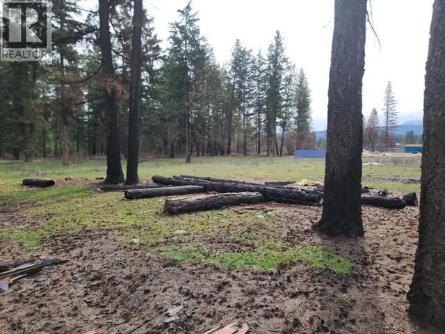 Lot B Squilax Anglemont Road Scotch Creek, British Columbia in Land for Sale in Kamloops - Image 11