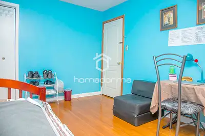 Homestay calls for an in-school student North Yor (HS104845)